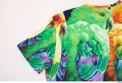 Casual Parrot Clothes photo references